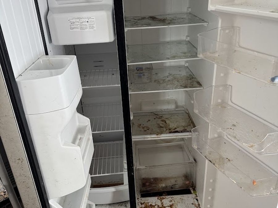 Appliance deep clean - before